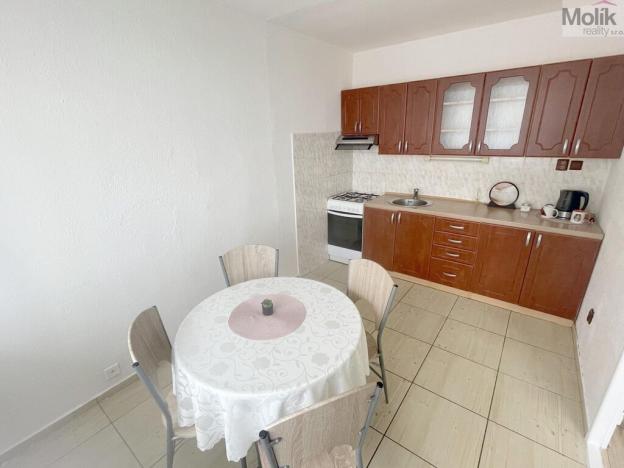 Prodej bytu 3+1, Litvínov - Janov, Hamerská, 69 m2