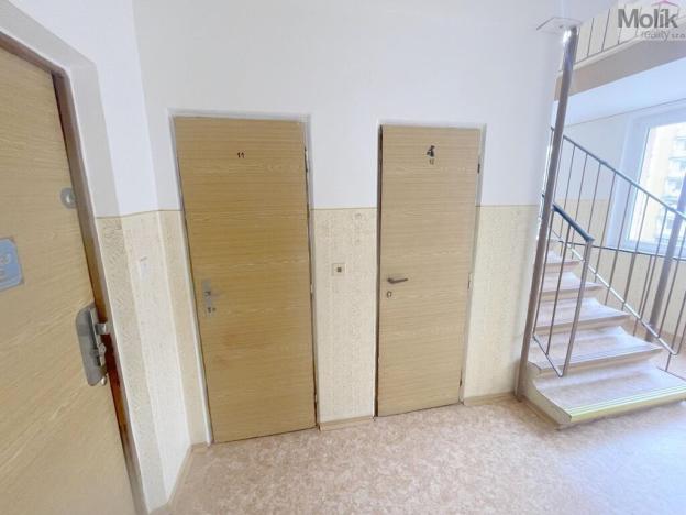 Prodej bytu 3+1, Litvínov - Janov, Hamerská, 69 m2