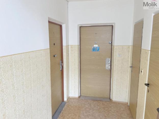 Prodej bytu 3+1, Litvínov - Janov, Hamerská, 69 m2