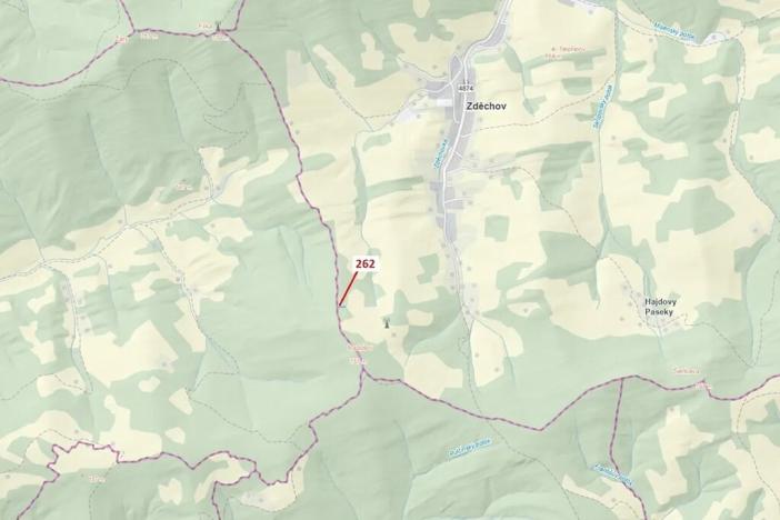 Dražba lesa, Zděchov, 273 m2