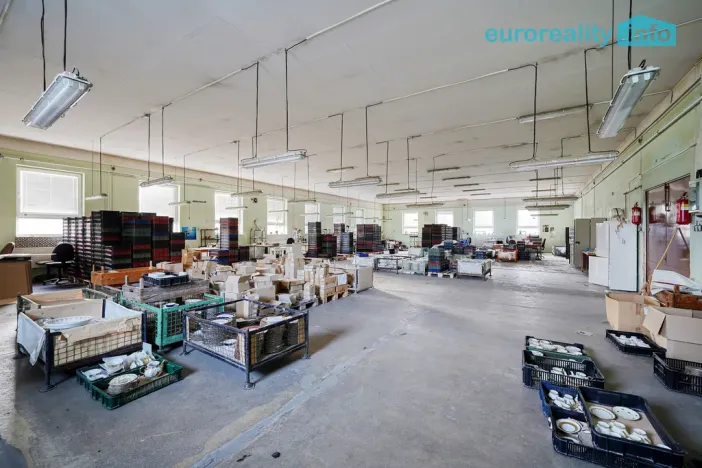 Prodej výrobních prostor, Plesná, Dlouhá, 2031 m2