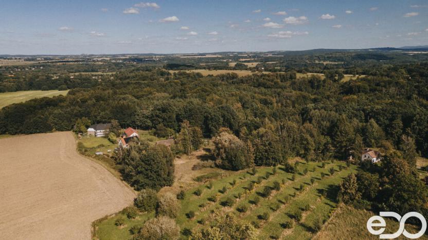 Prodej pozemku pro bydlení, Višňová, 3564 m2