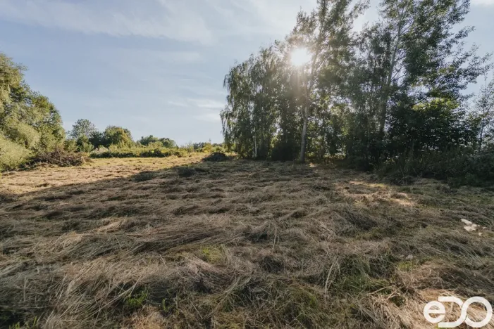 Prodej pozemku pro bydlení, Višňová, 3564 m2