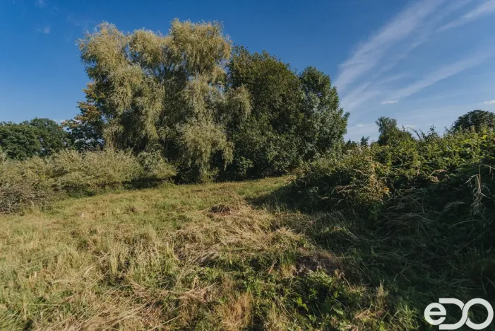 Prodej pozemku pro bydlení, Višňová, 3564 m2