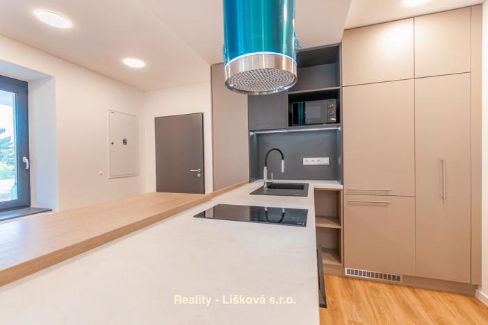 Pronájem bytu 1+kk, Ústí nad Labem, Bělehradská, 56 m2