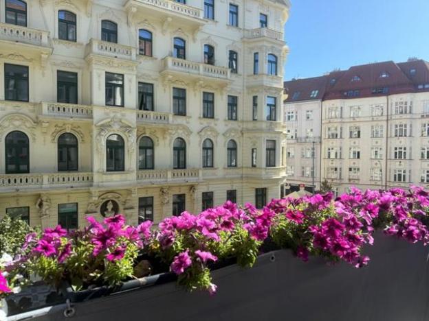 Prodej bytu 3+1, Praha - Vršovice, Žitomírská, 117 m2