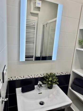 Pronájem bytu 2+1, Hradec Králové - Pražské Předměstí, U Koruny, 68 m2