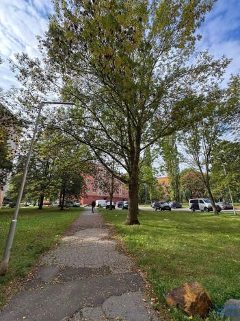 Pronájem bytu 2+1, Chomutov, Marie Pujmanové, 53 m2