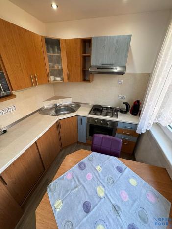 Pronájem bytu 2+1, Chomutov, Marie Pujmanové, 53 m2