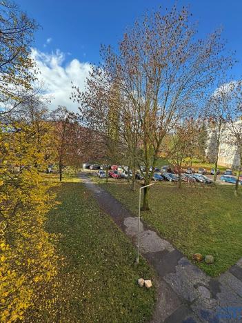 Pronájem bytu 2+1, Chomutov, Marie Pujmanové, 53 m2