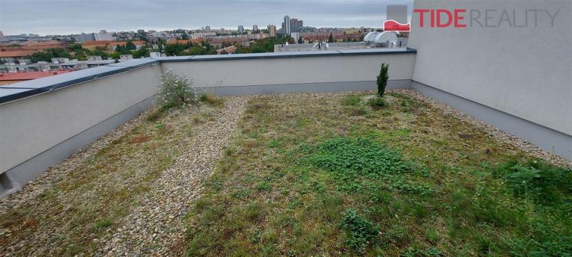 Pronájem bytu 3+kk, Praha, Štěchovická, 130 m2