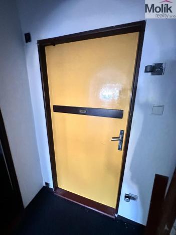 Pronájem kanceláře, Teplice - Trnovany, Masarykova třída, 60 m2