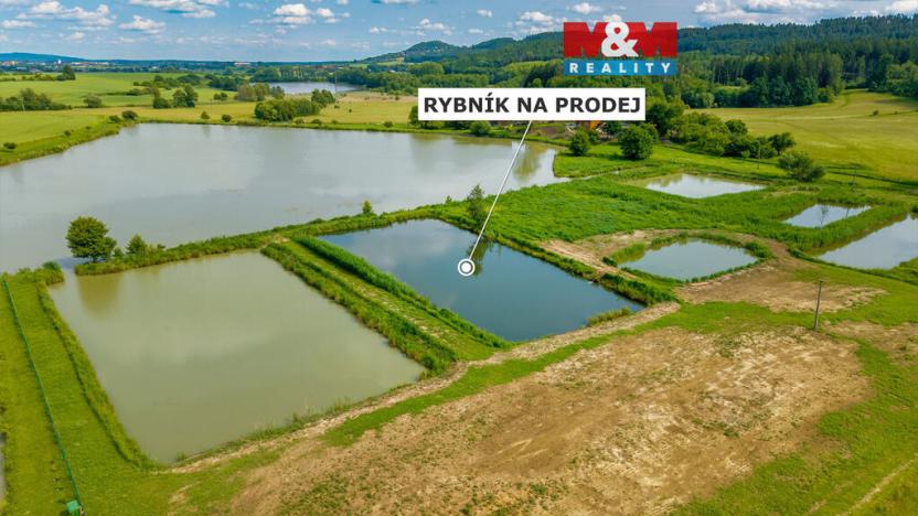 Prodej rybníku, Ostružno, 3377 m2