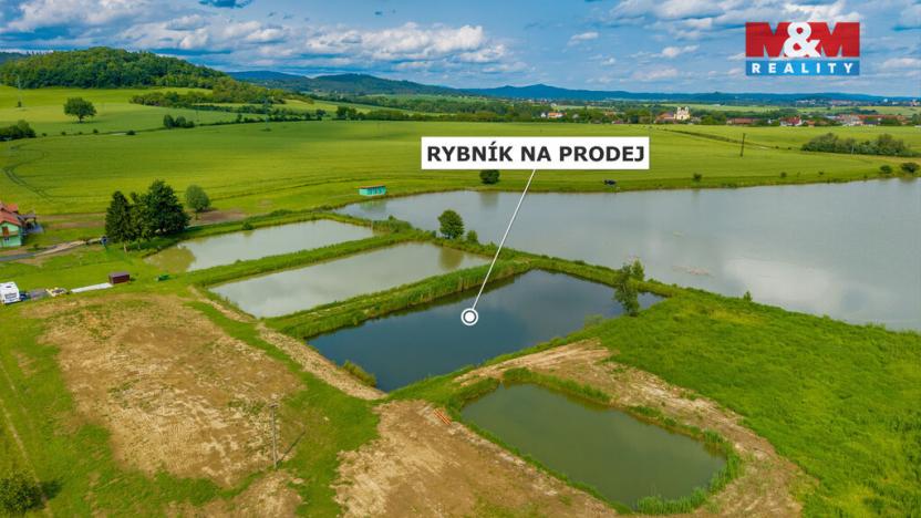 Prodej rybníku, Ostružno, 3377 m2