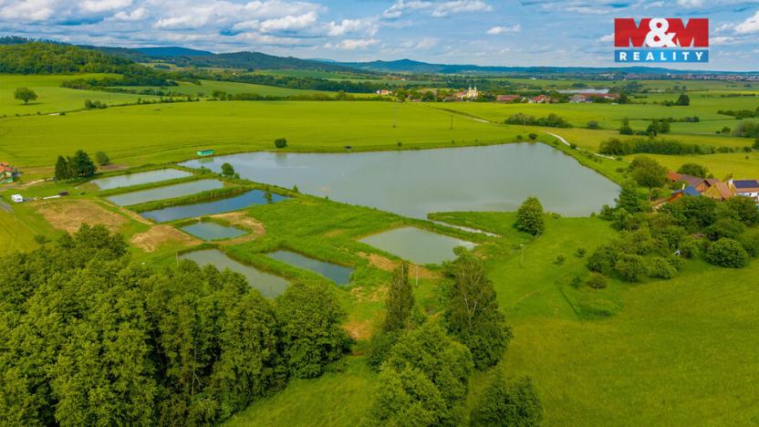 Prodej rybníku, Ostružno, 3377 m2