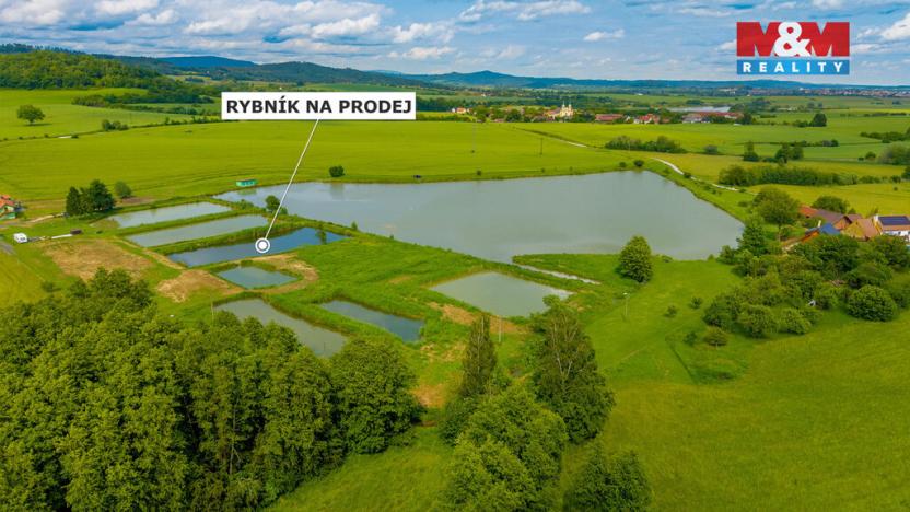 Prodej rybníku, Ostružno, 3377 m2