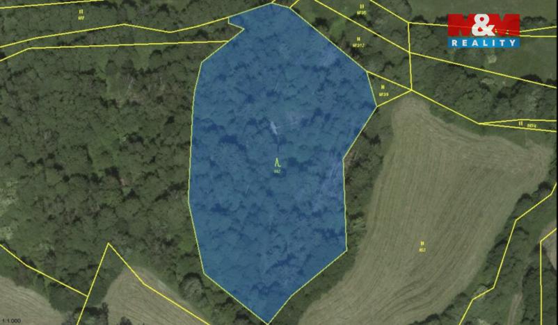 Prodej lesa, Borovnice, 38344 m2