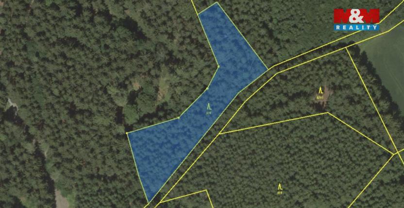 Prodej lesa, Borovnice, 38344 m2