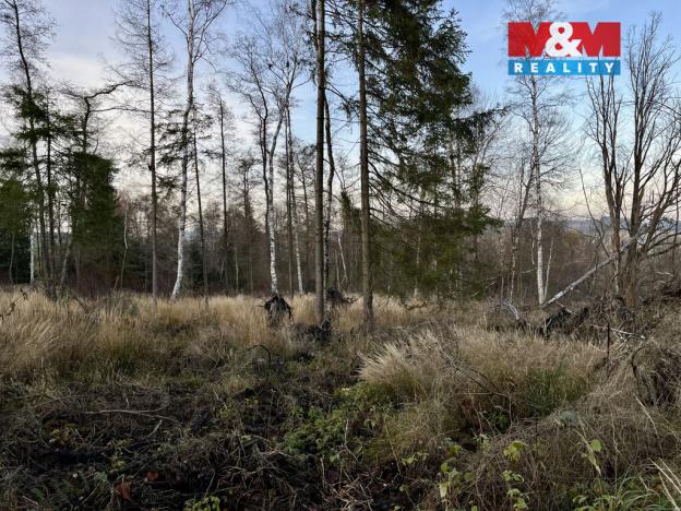 Prodej lesa, Borovnice, 38344 m2