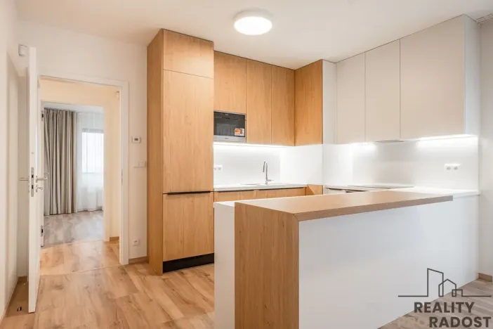 Pronájem bytu 3+kk, Praha - Záběhlice, Klapálkova, 220 m2