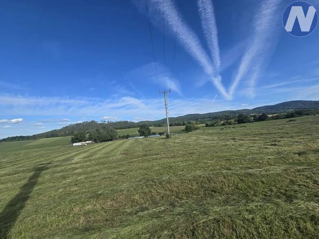 Prodej komerčního pozemku, Lhenice, 1468 m2