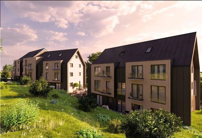 Prodej bytu 1+kk, Černý Důl, 43 m2