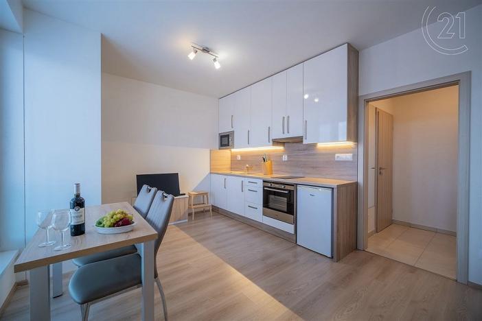 Pronájem bytu 1+kk, České Budějovice - České Budějovice 7, Lidická tř., 27 m2