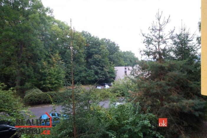 Pronájem bytu 2+kk, Děčín - Děčín VI-Letná, Školní, 35 m2