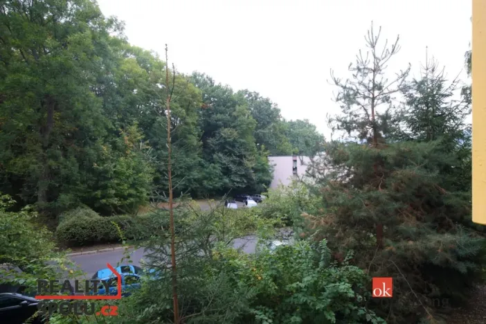 Pronájem bytu 2+kk, Děčín - Děčín VI-Letná, Školní, 35 m2