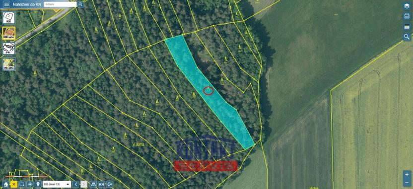 Prodej lesa, Soběnov, 2929 m2