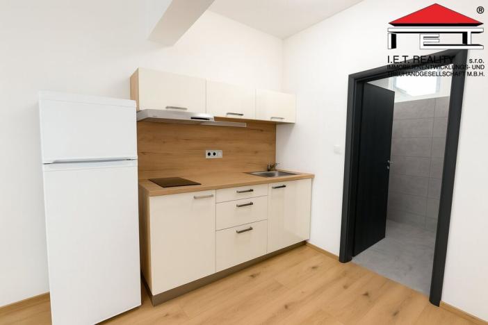Pronájem bytu 1+kk, Brno, Slevačská, 24 m2