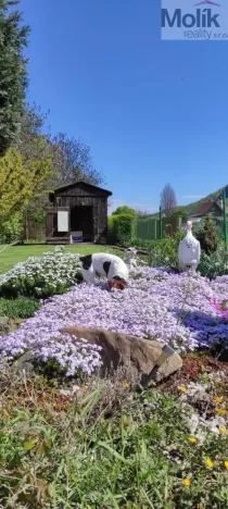 Prodej zahrady, Obrnice - České Zlatníky, 395 m2