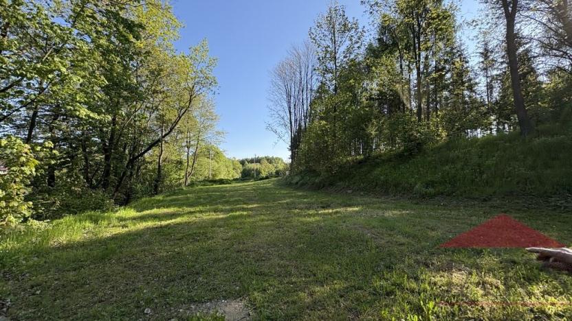 Prodej louky, Sušice, 1985 m2