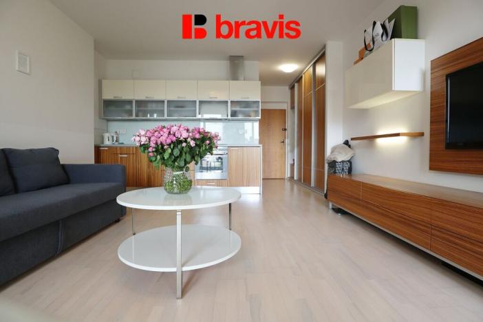 Pronájem bytu 1+kk, Brno - Staré Brno, Leitnerova, 43 m2