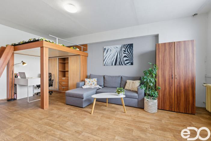 Prodej bytu 1+1, Mladá Boleslav, Jana Palacha, 43 m2