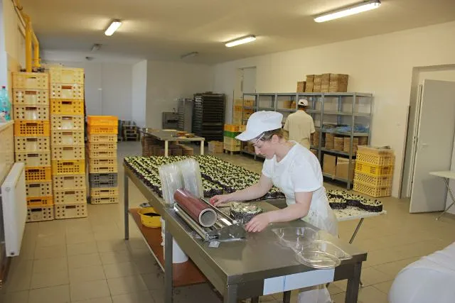 Prodej - jiné, Vojkovice, 1200 m2