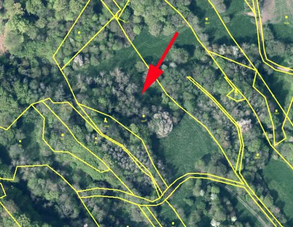 Prodej louky, Děčín, 13017 m2