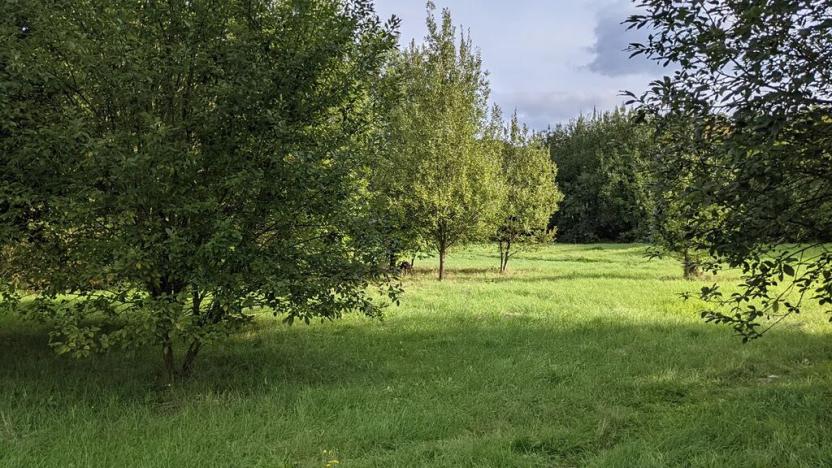 Prodej pozemku pro bydlení, Kladno, Jar. Seiferta, 4912 m2