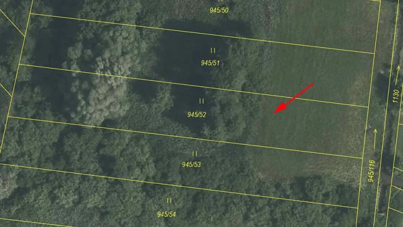 Prodej louky, Cerekvice nad Loučnou, 1828 m2