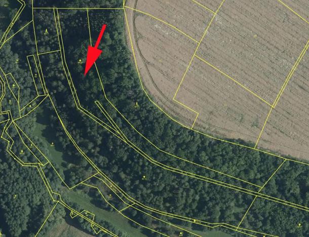 Prodej lesa, Skuteč, 8078 m2