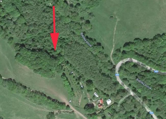 Prodej lesa, Trutnov, 4429 m2