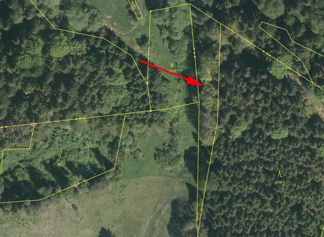 Prodej lesa, Horní Dvořiště, 1471 m2