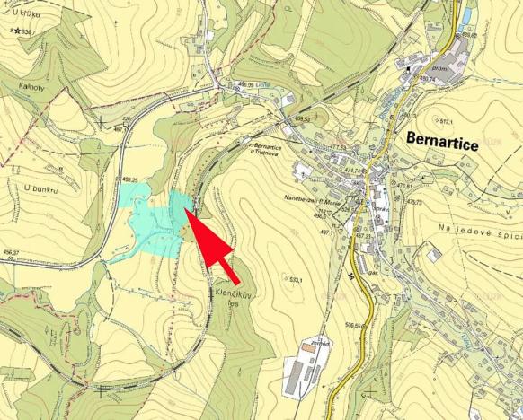 Prodej lesa, Bernartice, 9502 m2