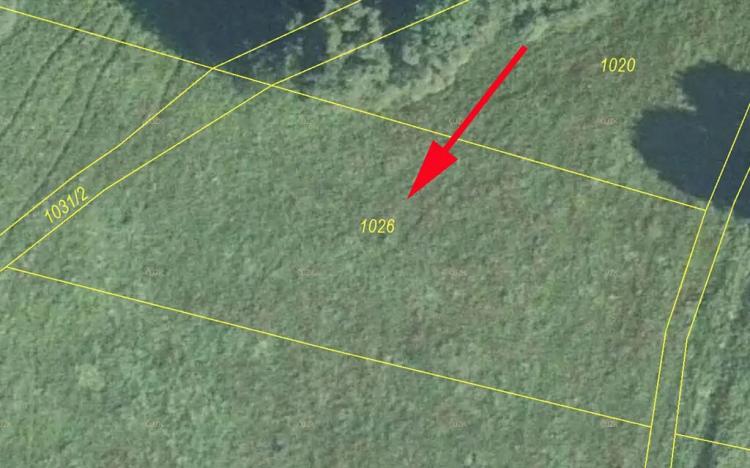 Prodej pole, Bernartice, 1835 m2