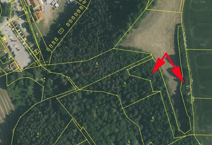 Prodej lesa, Zlatá Koruna, 4920 m2