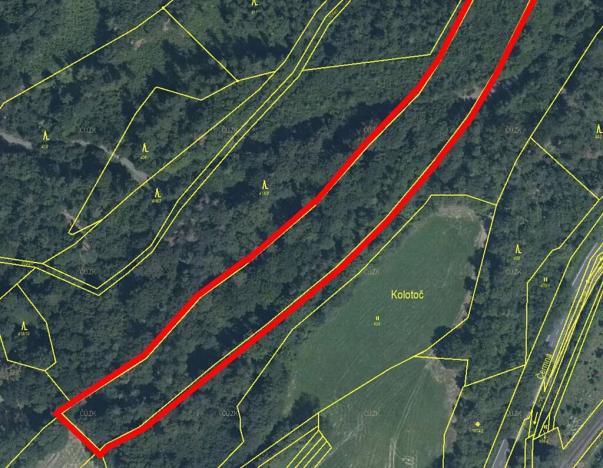 Prodej lesa, Odry, 17778 m2