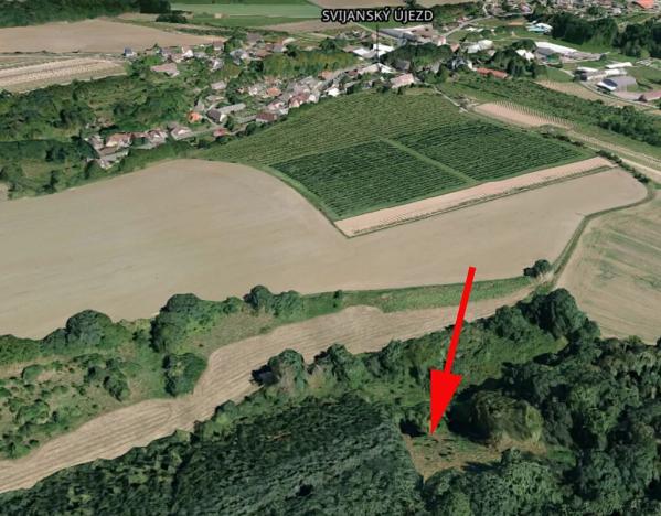 Prodej podílu louky, Svijanský Újezd, 1597 m2