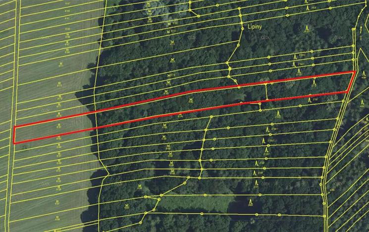 Prodej lesa, Horní Němčí, 4589 m2