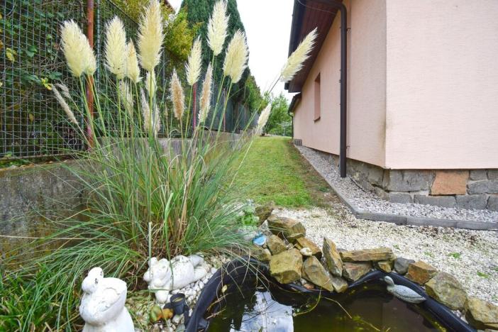 Prodej rodinného domu, Plzeň - Černice, Pod Bručnou, 340 m2