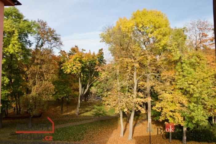 Prodej bytu 3+1, Litvínov - Horní Litvínov, U Zámeckého parku, 59 m2